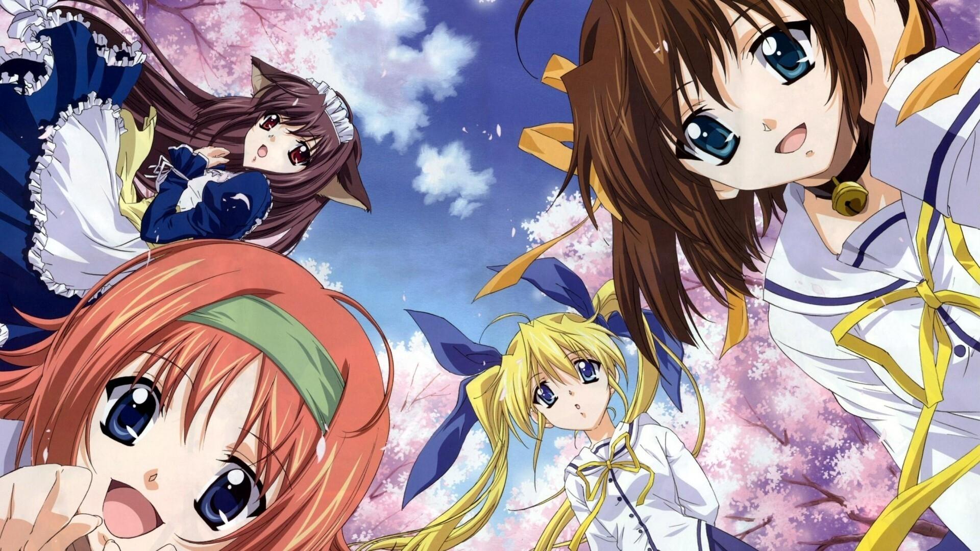 Anime Summary D.C.: Da Capo สามารถสร้างความประทับใจได้